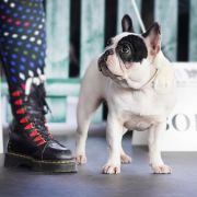 ARYA STARK Z BLUESOWEJ KRAINY