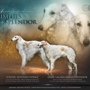 LL LORD & LADY Impuls i Splendor