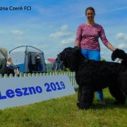 Czad Magiczna Czerń FCI