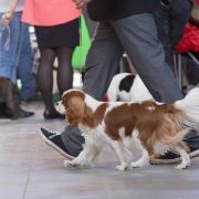 ADDICTED TO YOU-POEZJA Begret