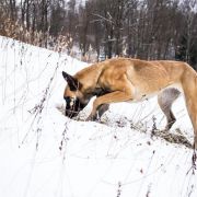 B-Aura spod Gazdorani