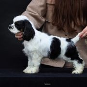 Queenzie ALL ABOUT ME