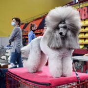 SAVANNAH The Spirit of Silverhill 4