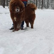 Margherita Dżokhang 