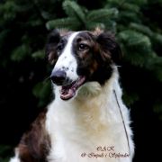 KRASNAJA KIZLAR Impuls i Splendor