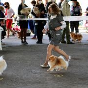 Romeo Iz Imperatorskogo Dvorca