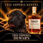 TRD IMPERIA DEWAR’S
