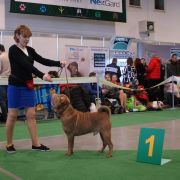 Vanderburg Fairy tale daos