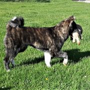 RAITO Senshi No Seishin