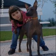 DEMETRA HERMIONA van Edelsieger