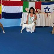 My Crackerjack's Royal Jewel