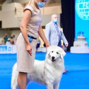 E`Vesna S Gory Mezmay