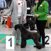 XENON z Płockiego Wzgórza