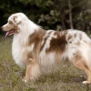 Sunset Dream Kind of Magic