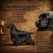 Crystal by Order Lexi Jones 