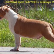 Nothing Else Matters z Wiślanego Portu