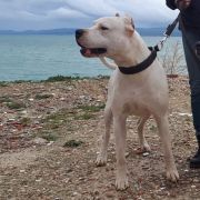 TANQUECITO DEL Ojo en la Mano 