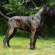 A PROMISE OF VICTORY Your Destiny FCI