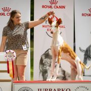 El Profesor Baltas Vejas