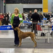 KLARA Rhodesian Heart