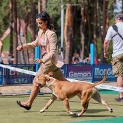 Quest For Perfection Via Fortuna