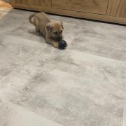 Hades „Heart Hunters „ Night Defenders 