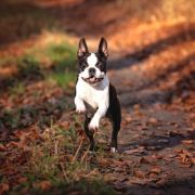 Infinite Love s Krainego Severa