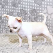 Alter Ego Emerald In Gold