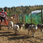 Венто Либеро Ясси Бат Де