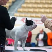 VALEGRA Malure MeiMei