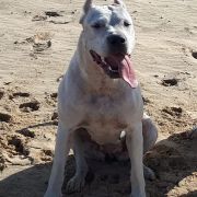 TRANQUERA DEl Ojo en la Mano 