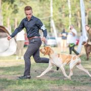 Latina Venator d’Ursus