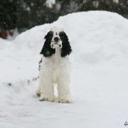 Queenzie ALL ABOUT ME