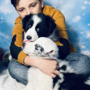 LARRY Zwinne Serca (FCI)