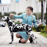 Lacrima Christi Cockta