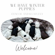 M jak miłość która rozkwita wiosną