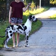 MAMMA MIA Athel Loren 