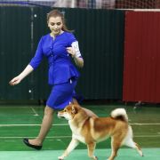 EKATO KADZUKEMONO DEN