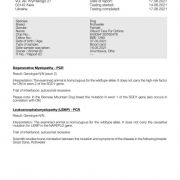 Olburd TARA DLJA OZHINA 