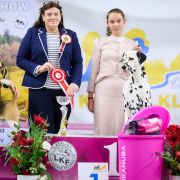 Alphadirato Surprise Me (Semmy)