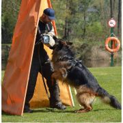 IVO Sfora z Zakrzewa