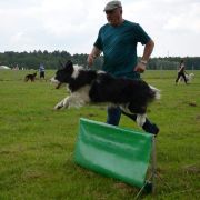 Borderforyou (FCI) ANGEL SZILA