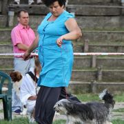 JAZZY FOR HAFIZ-CHAIR