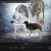 KK KING & KRASNAJA Impuls i Splendor