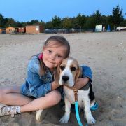 RUN FOREST RUN Królewska Zgraja