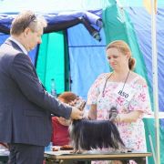 LUCAS Caro Amico FCI Mł.Ch.Pl. Ch.Pl.