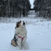 Ultramarina Star of Elune aka Yuka