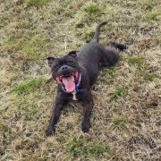 Adore The Empress Avia Cerasis