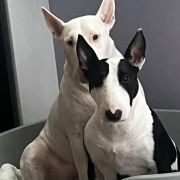 BALBINA Szoszon Kaja 