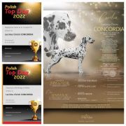 lacrima christi concordia